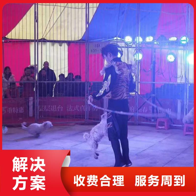 周邊馬戲團(tuán)表演租賃活動方案