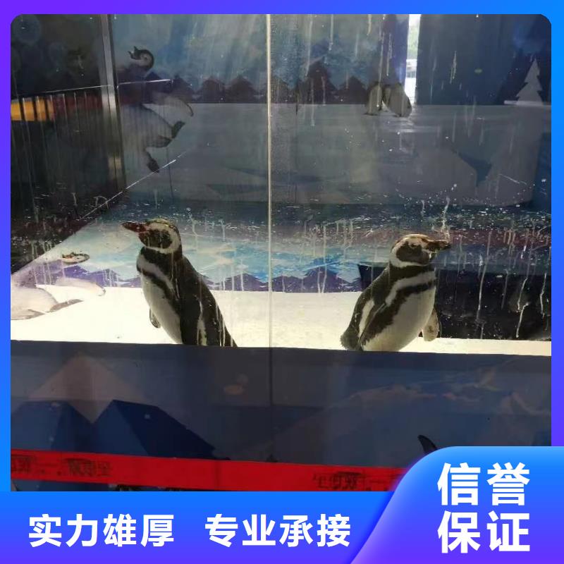 海洋生物展出租