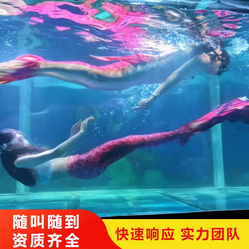 海洋主题动物表演海洋展租赁正规团队