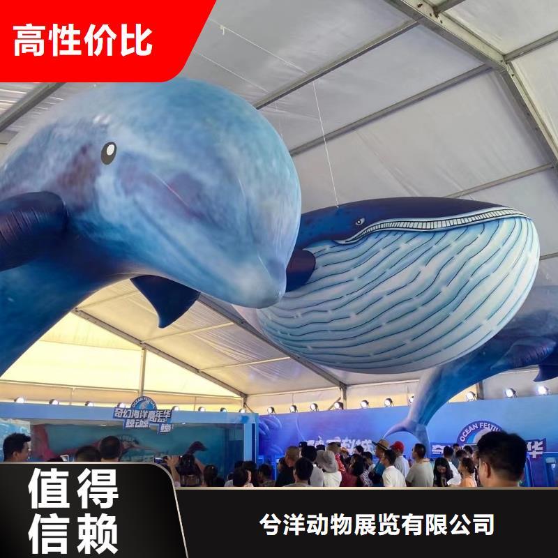 海洋主题动物表演-海洋展租赁长期合作