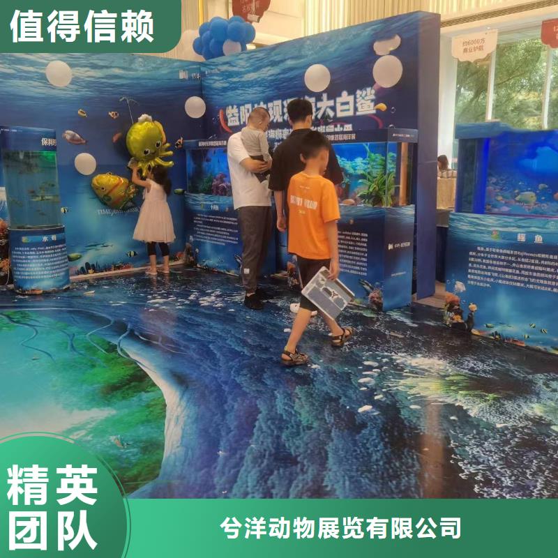 海洋生物展租赁免费策划