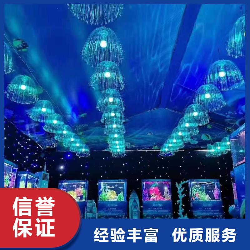 海洋主题动物表演海狮表演租赁行业口碑好