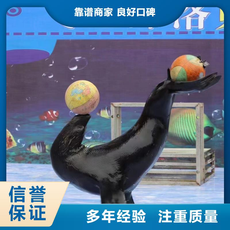 海洋生物鱼缸展租赁暖场气氛