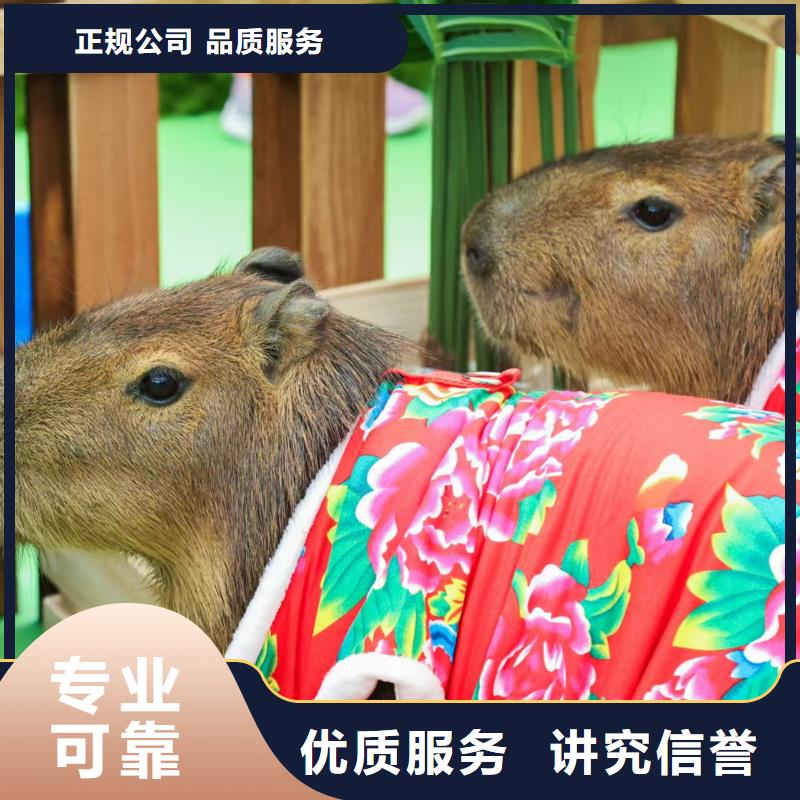 質(zhì)優(yōu)價廉的全年齡段適配基地