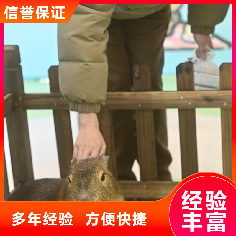 出租優(yōu)勢安裝指導(dǎo)