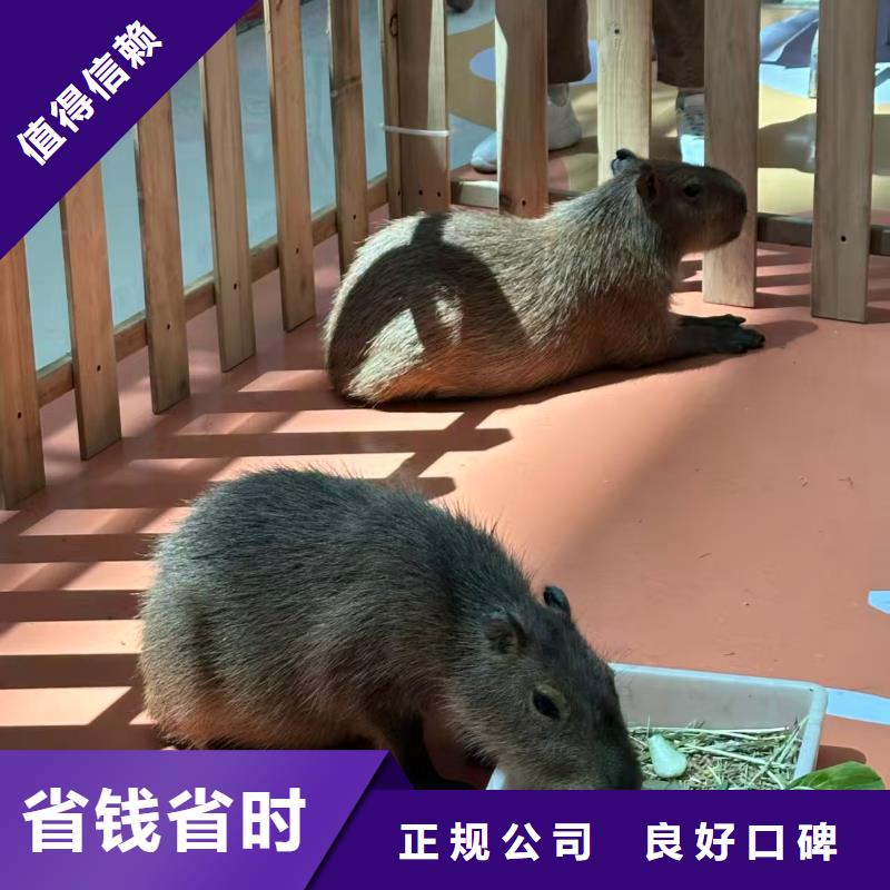 養(yǎng)殖基地-專注養(yǎng)殖基地十多年