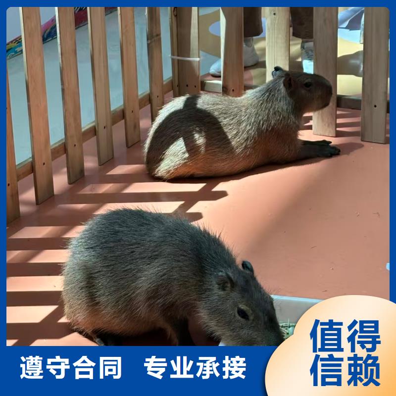 供應(yīng)全年齡段適配_誠信企業(yè)