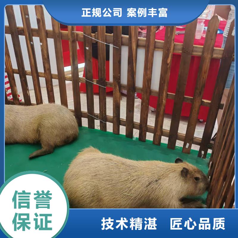 飼養(yǎng)員全國包郵