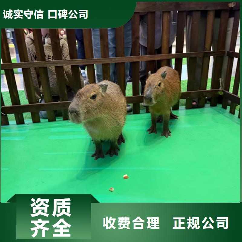 飼養(yǎng)員_按需定制