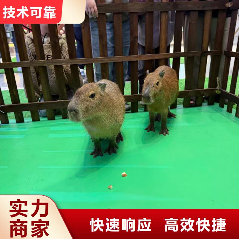 出租市場(chǎng)現(xiàn)貨價(jià)格