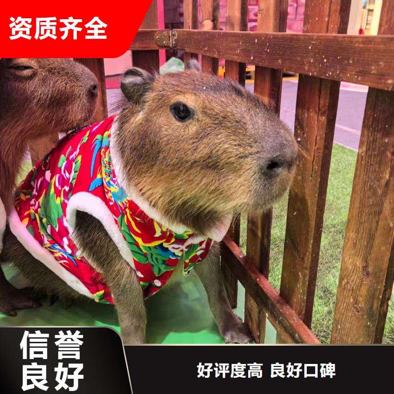 出租十周年促銷