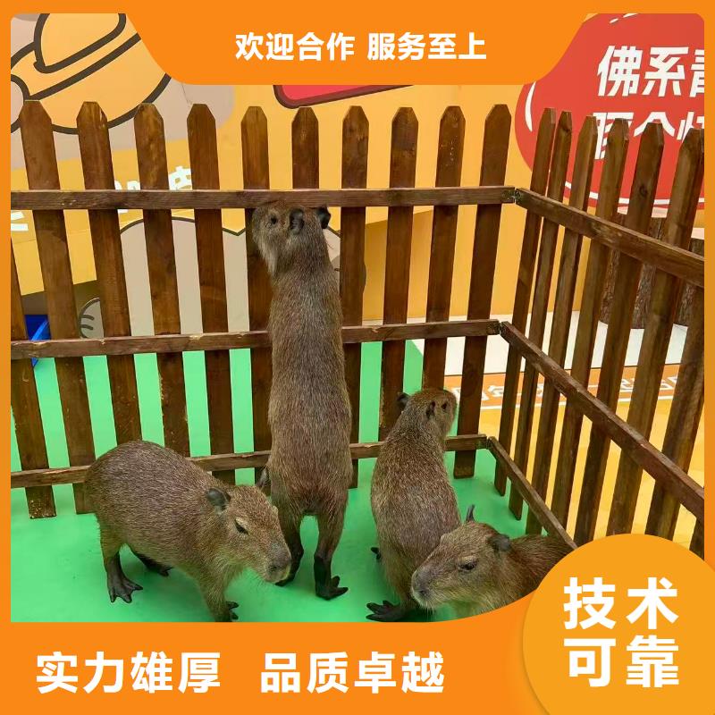 飼養(yǎng)員全國包郵