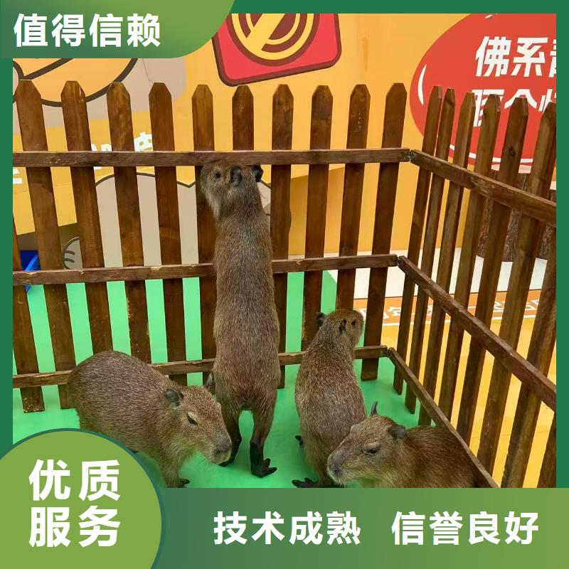 供應(yīng)全年齡段適配_誠信企業(yè)