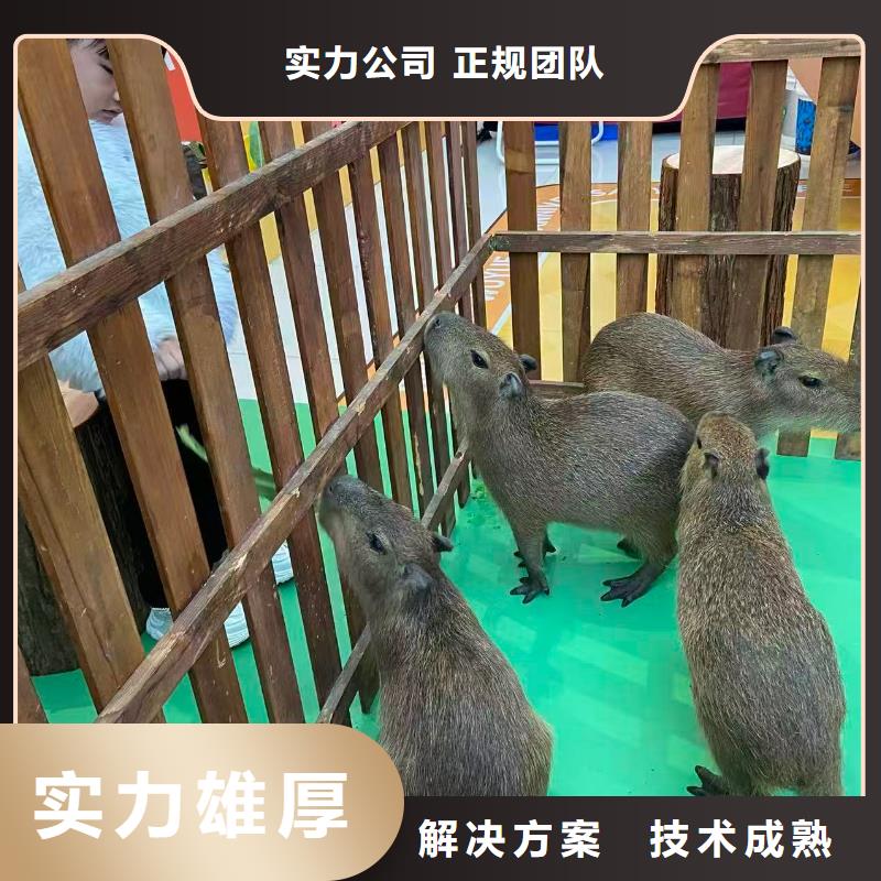 全年齡段適配市場價