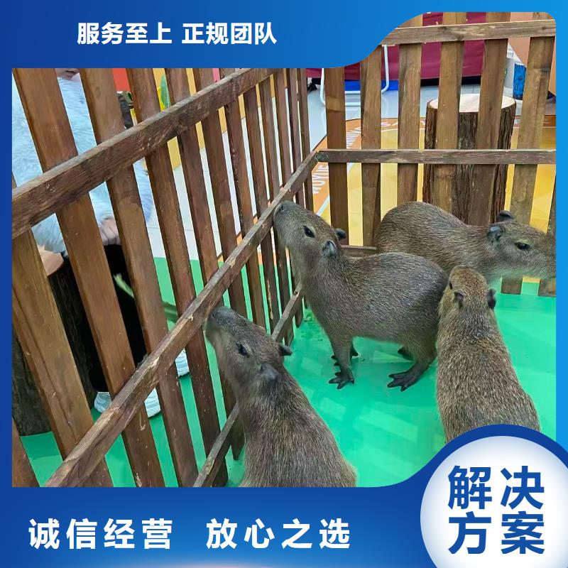 出租優(yōu)勢安裝指導(dǎo)