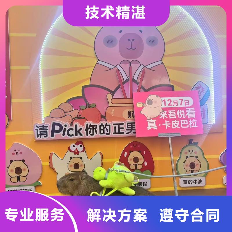 全年齡段適配市場價