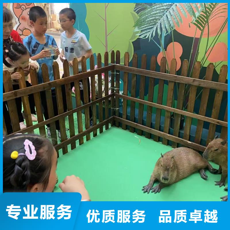 出租市場(chǎng)現(xiàn)貨價(jià)格