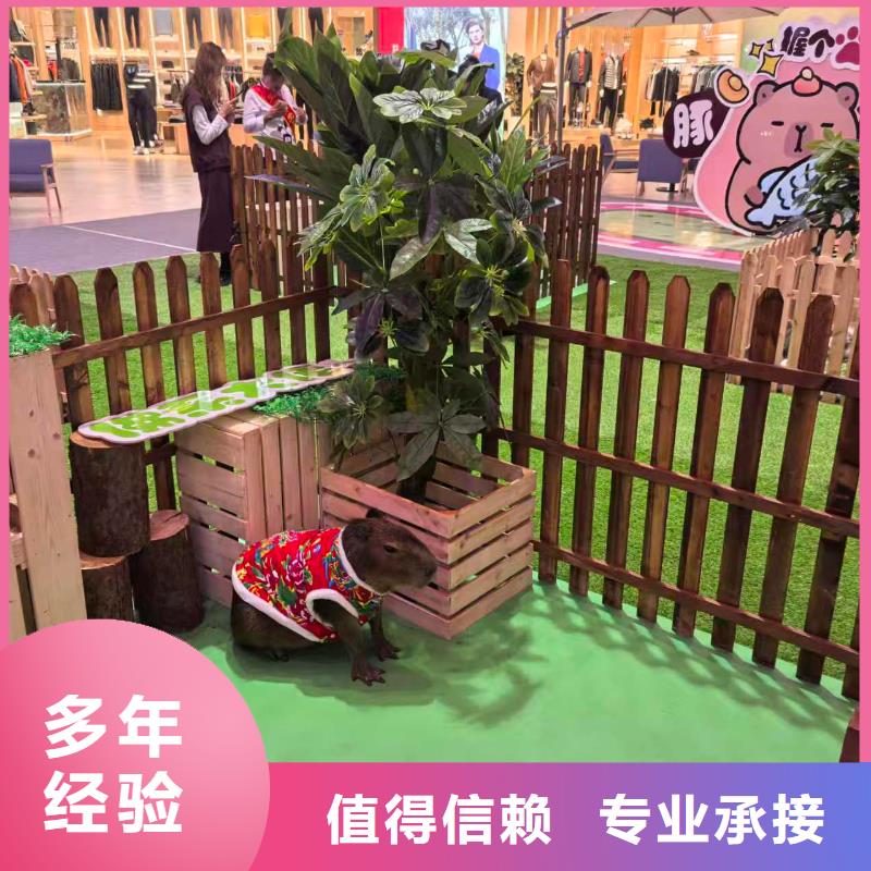 供應(yīng)全年齡段適配_誠信企業(yè)