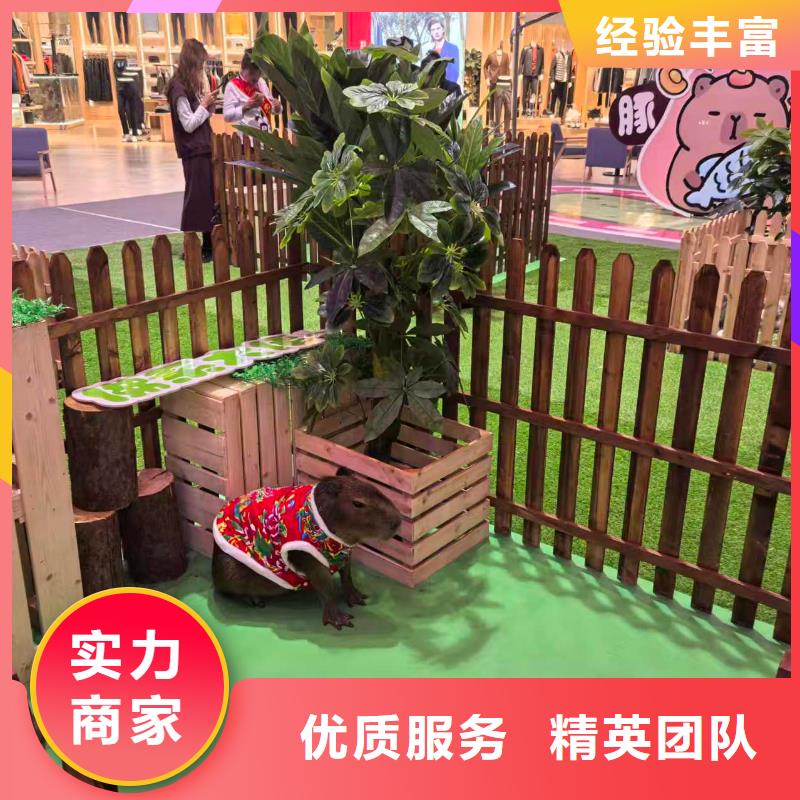 全年齡段適配用專業(yè)讓客戶省心