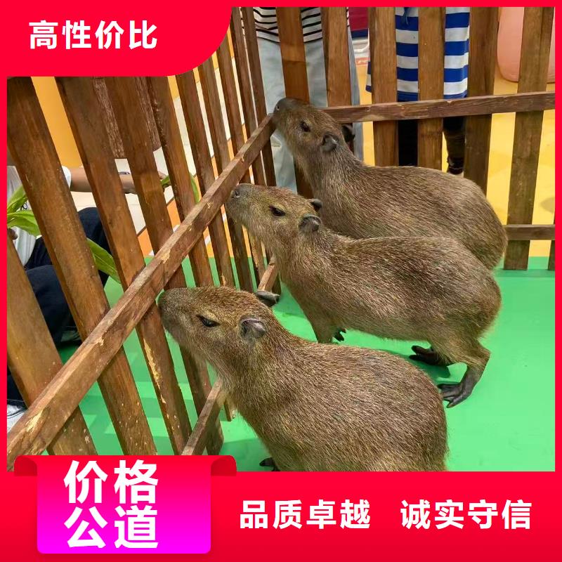 靠譜的策劃廠家