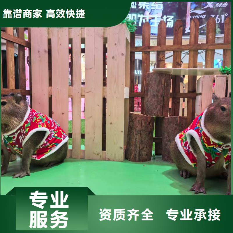 全年齡段適配市場批發(fā)價