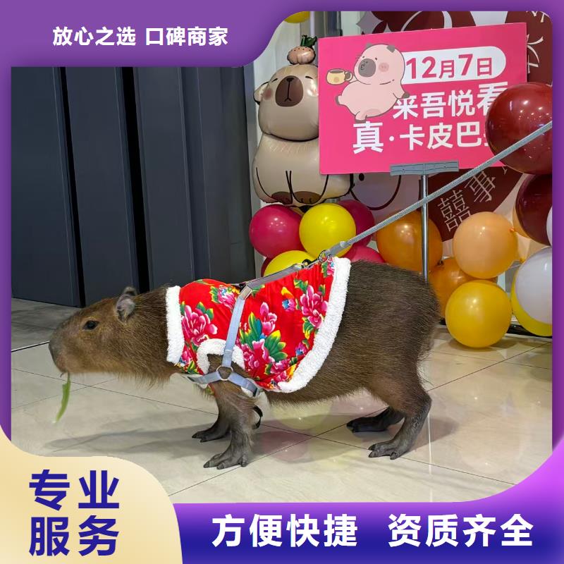 飼養(yǎng)員全國包郵