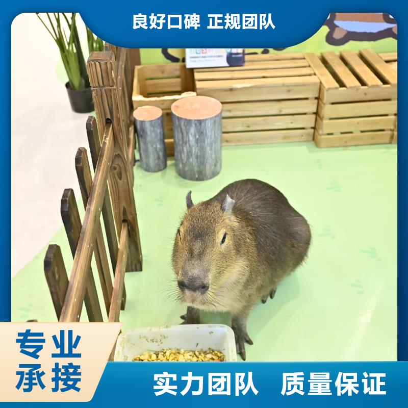 供應(yīng)全年齡段適配_誠信企業(yè)