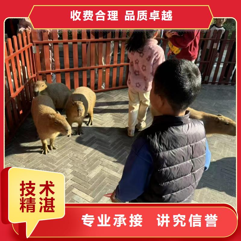 出租優(yōu)勢安裝指導(dǎo)