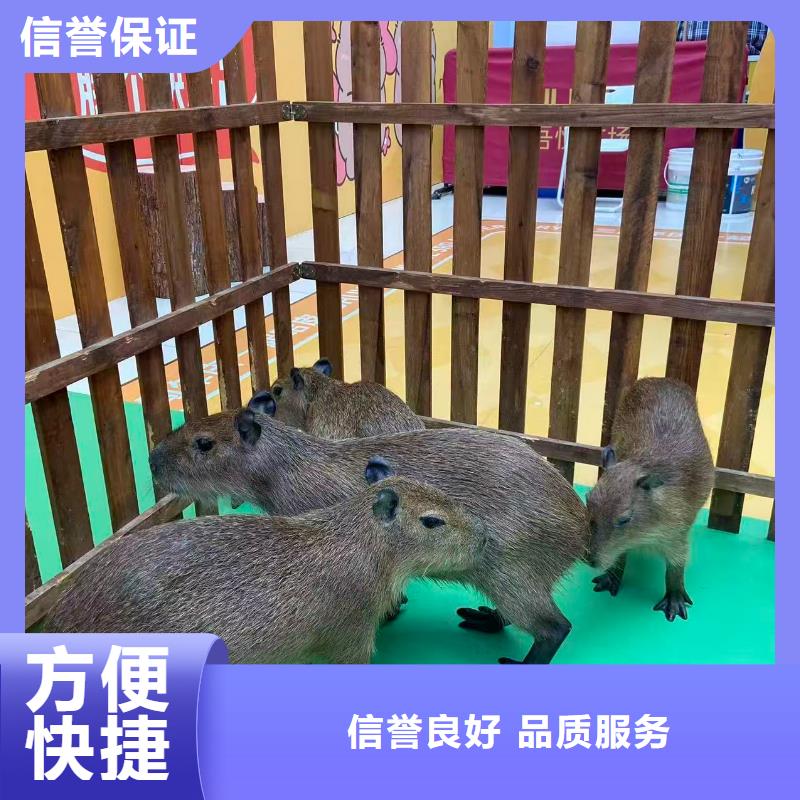 出租十周年促銷