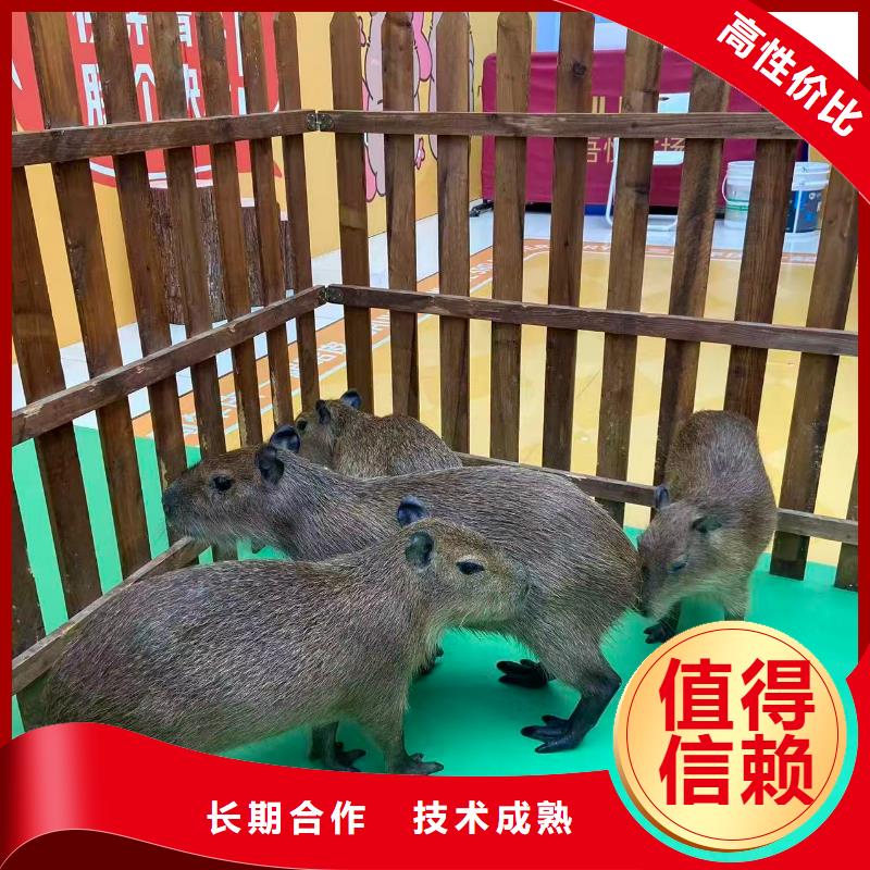 出租優(yōu)勢市場價格