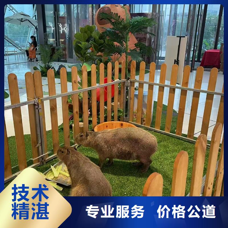 出租優(yōu)勢安裝指導(dǎo)