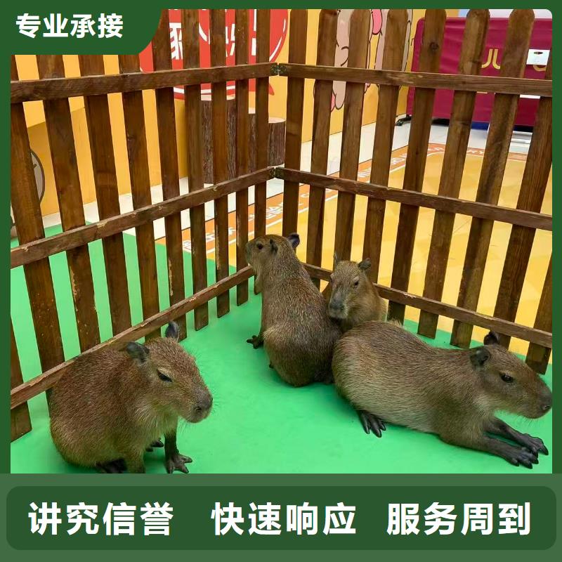 飼養(yǎng)員_按需定制