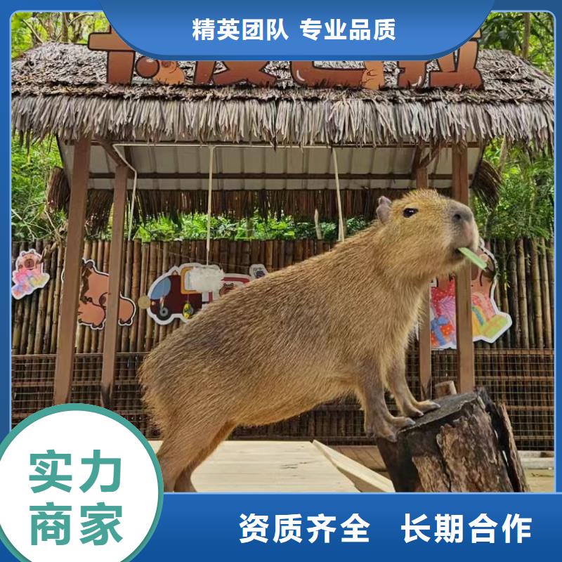 采購(gòu)全年齡段適配必看-售后保障