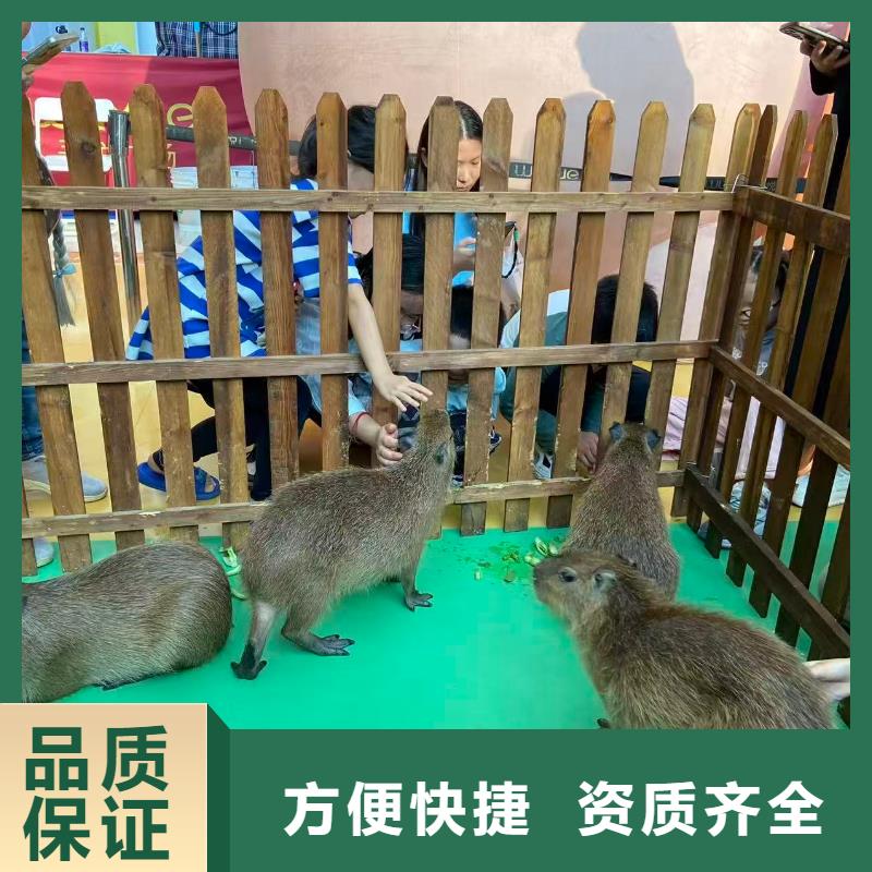 出租優(yōu)勢安裝指導(dǎo)