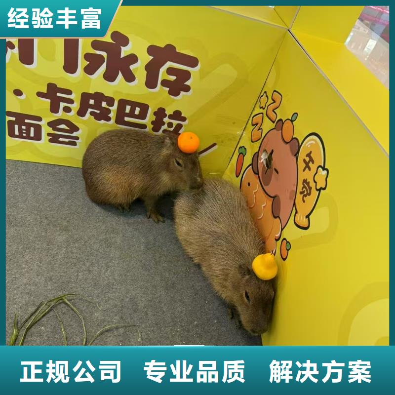 出租十周年促銷