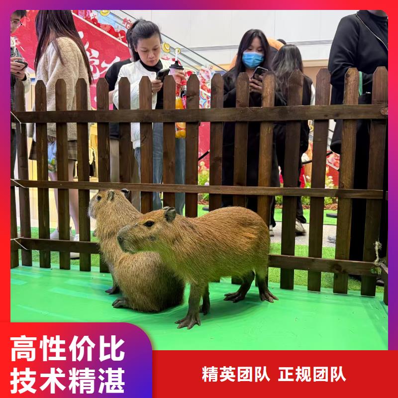 質(zhì)優(yōu)價廉的全年齡段適配基地