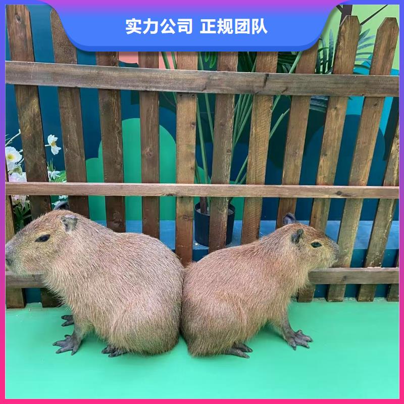 出租優(yōu)勢安裝指導(dǎo)