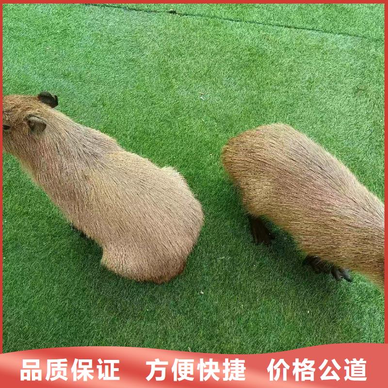 全年齡段適配用專業(yè)讓客戶省心