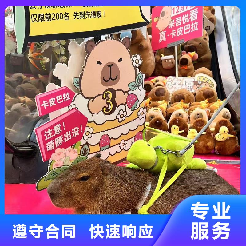 出租十周年促銷