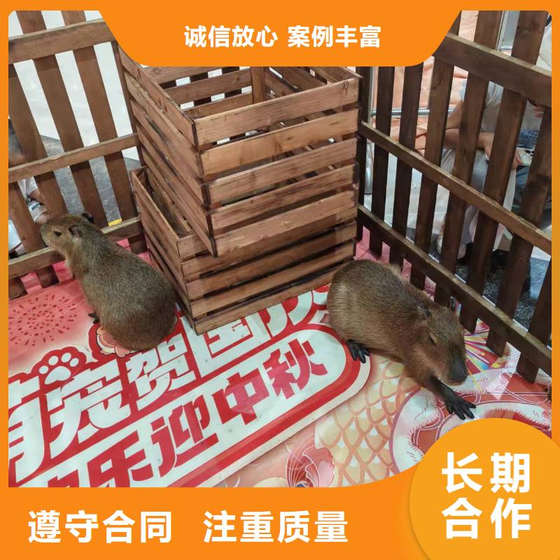 商場暖場-商場暖場發(fā)貨快