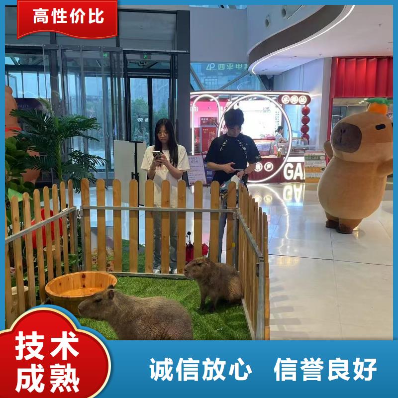 全年齡段適配市場批發(fā)價