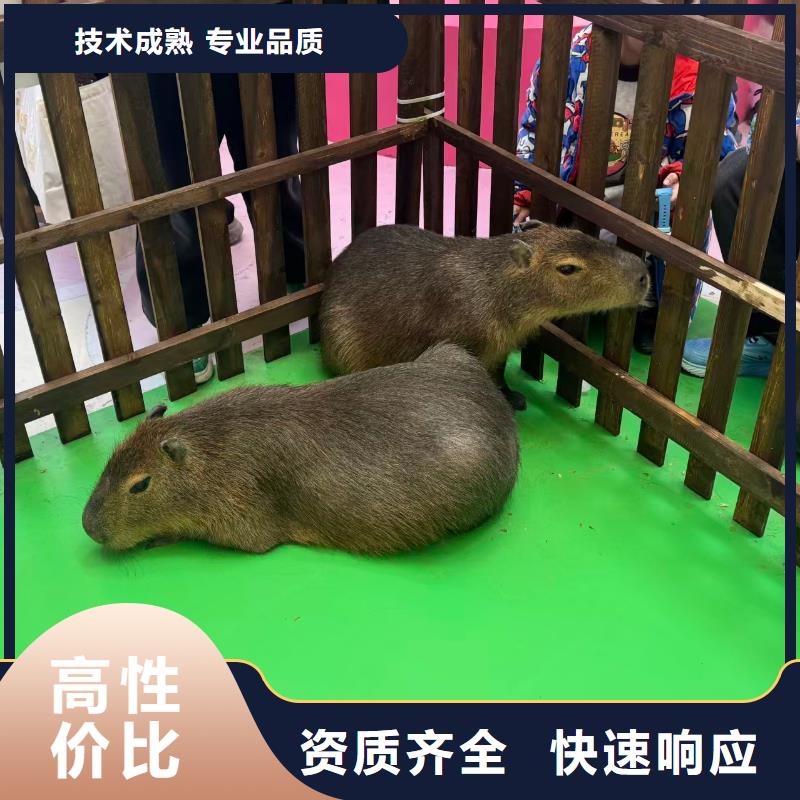 質(zhì)優(yōu)價廉的全年齡段適配基地