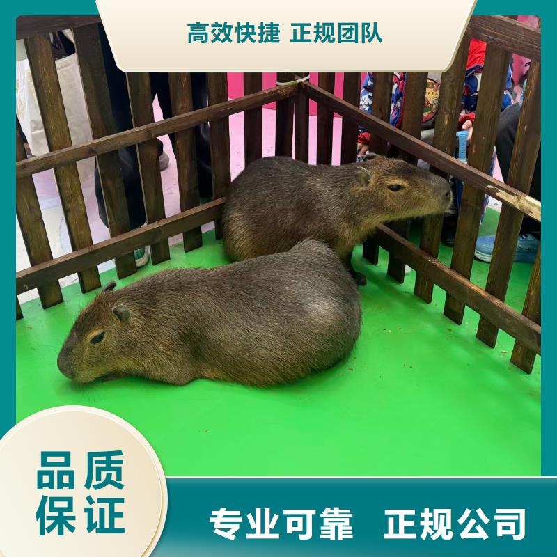 全年齡段適配用專業(yè)讓客戶省心