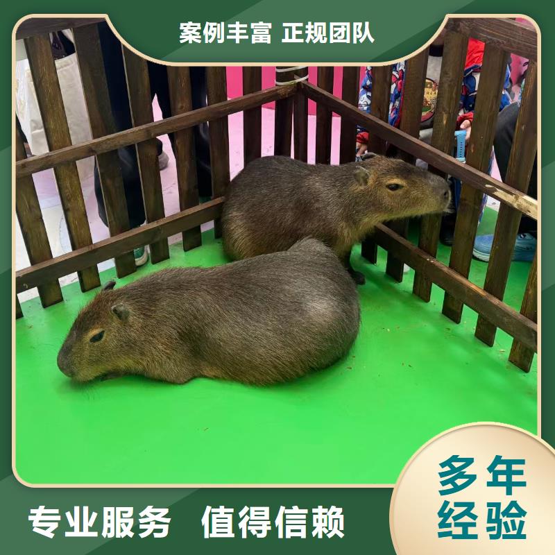 出租優(yōu)勢安裝指導(dǎo)