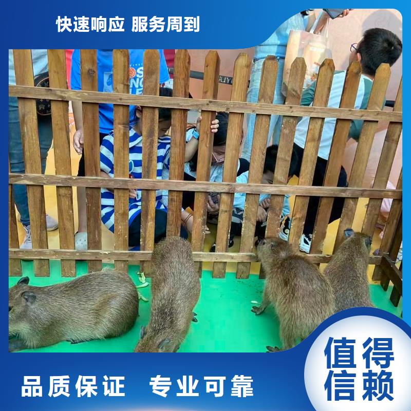 全年齡段適配市場批發(fā)價