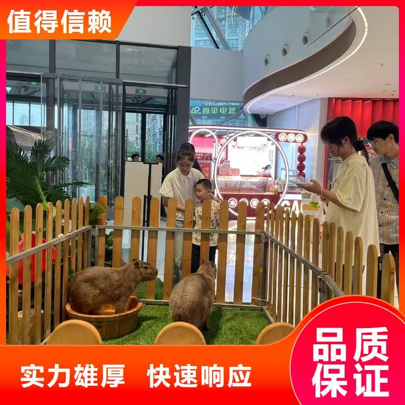 銷售企業(yè)團建的廠家