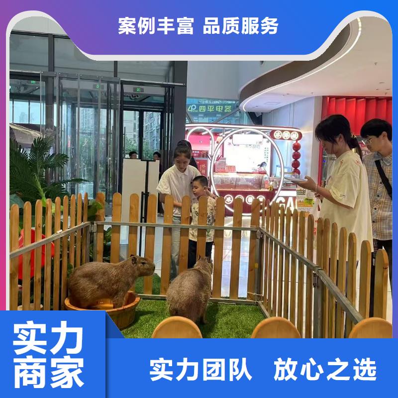 出租市場(chǎng)現(xiàn)貨價(jià)格