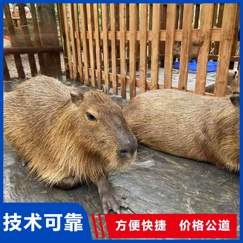 出租優(yōu)勢安裝指導(dǎo)