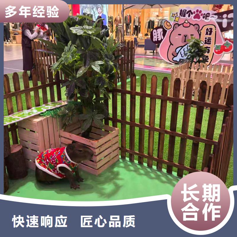 銷售企業(yè)團建的廠家