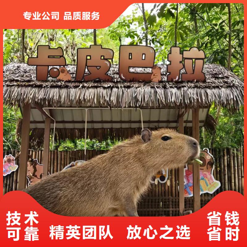 出租優(yōu)勢正規(guī)實(shí)體廠家